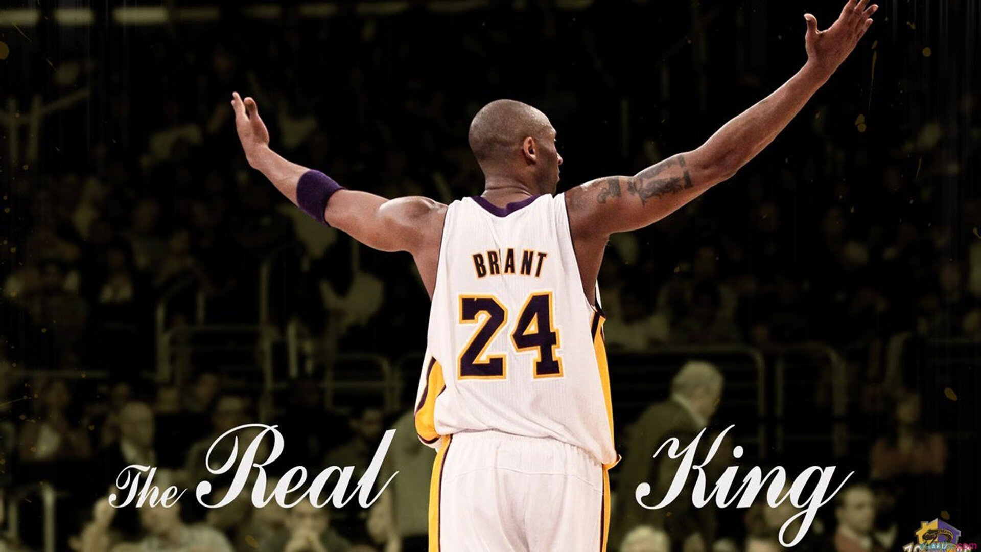 Scout重返赛场，大比分获胜首场状态出色，塞尔维亚队观众沸腾！热度持续攀升